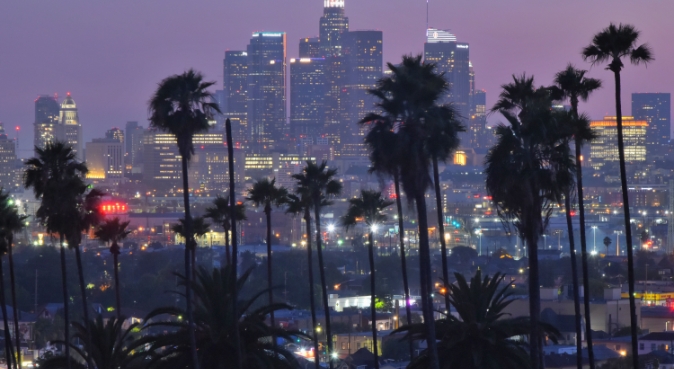 Image of the skyline behind silhouetted palm trees in Los Angeles, California, United States