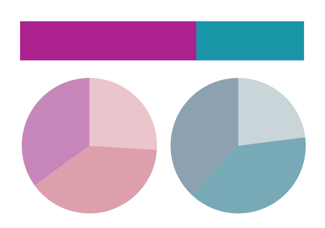 Gender & Age Breakdown Example